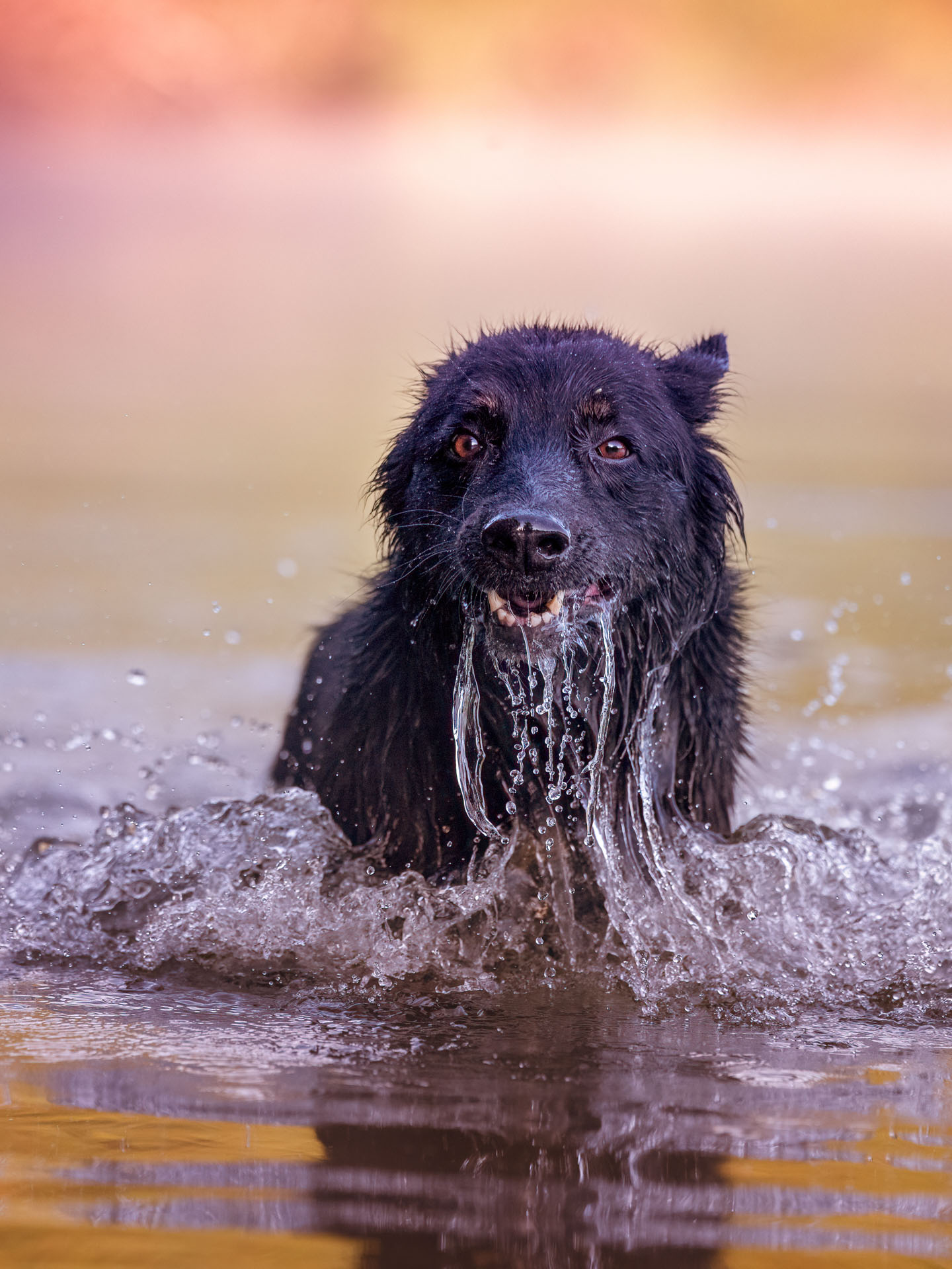 Wassershooting